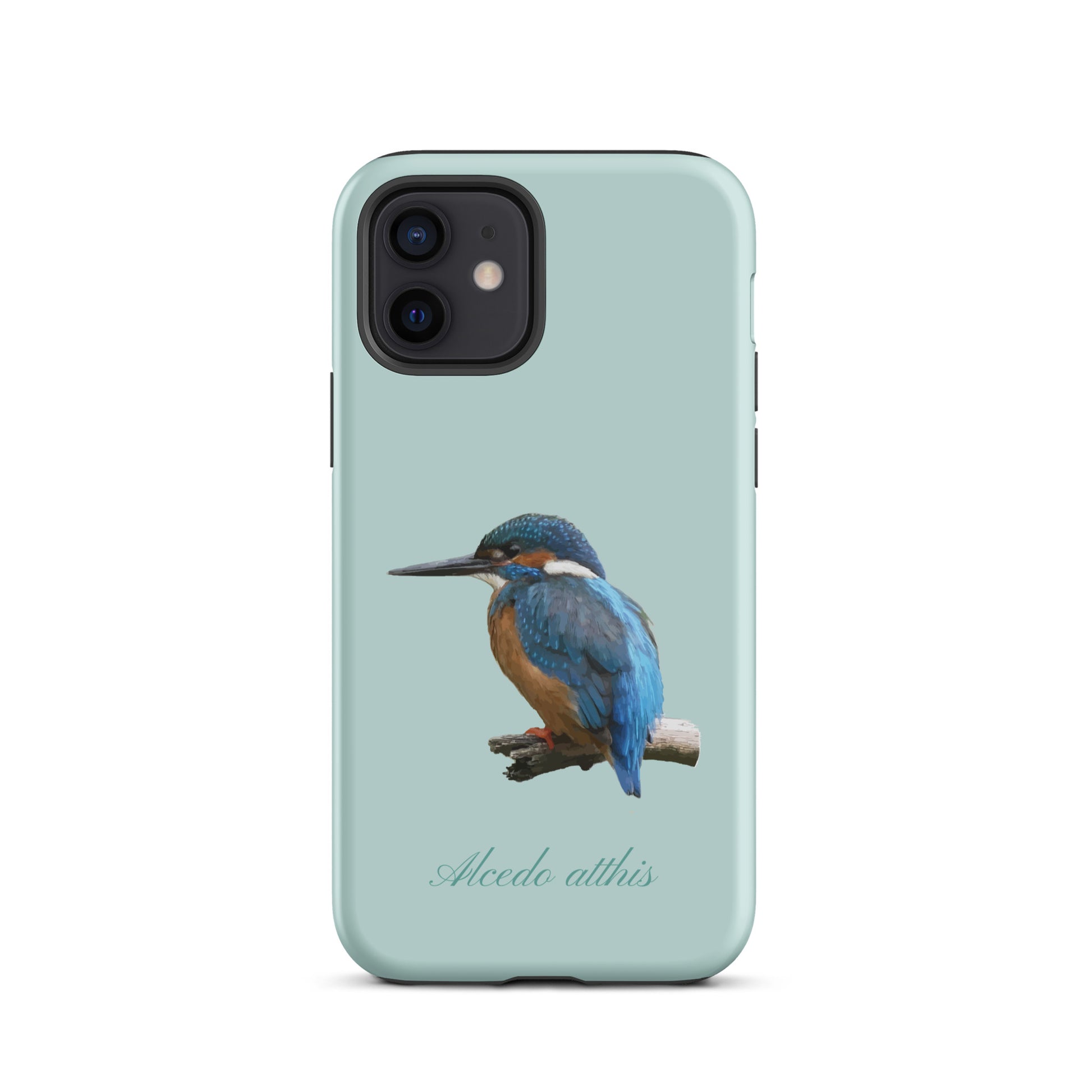 Schutzhülle für Apple iPhone: iPhone Case - Eisvogel - Hellblau 