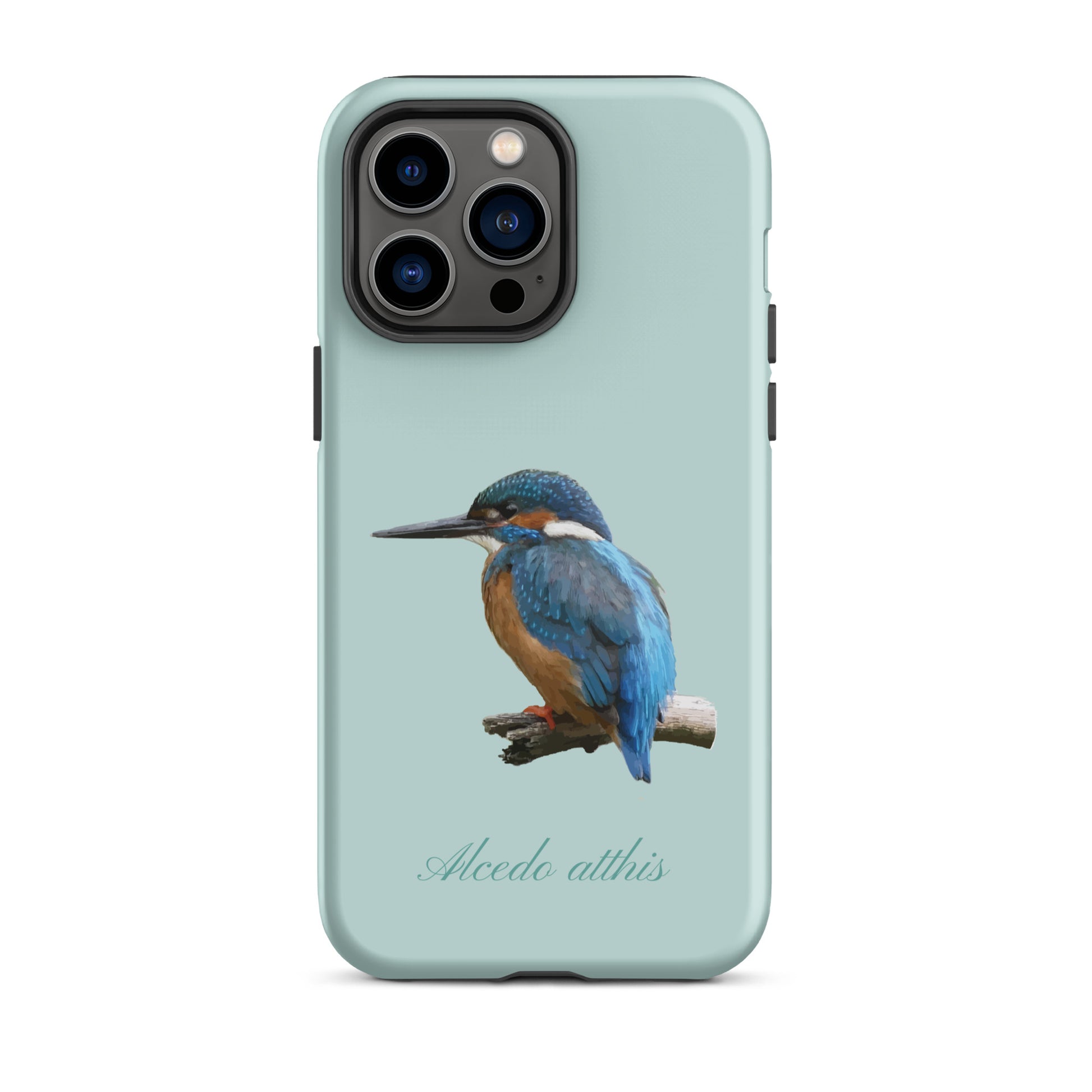 Schutzhülle für Apple iPhone: iPhone Case - Eisvogel - Hellblau 