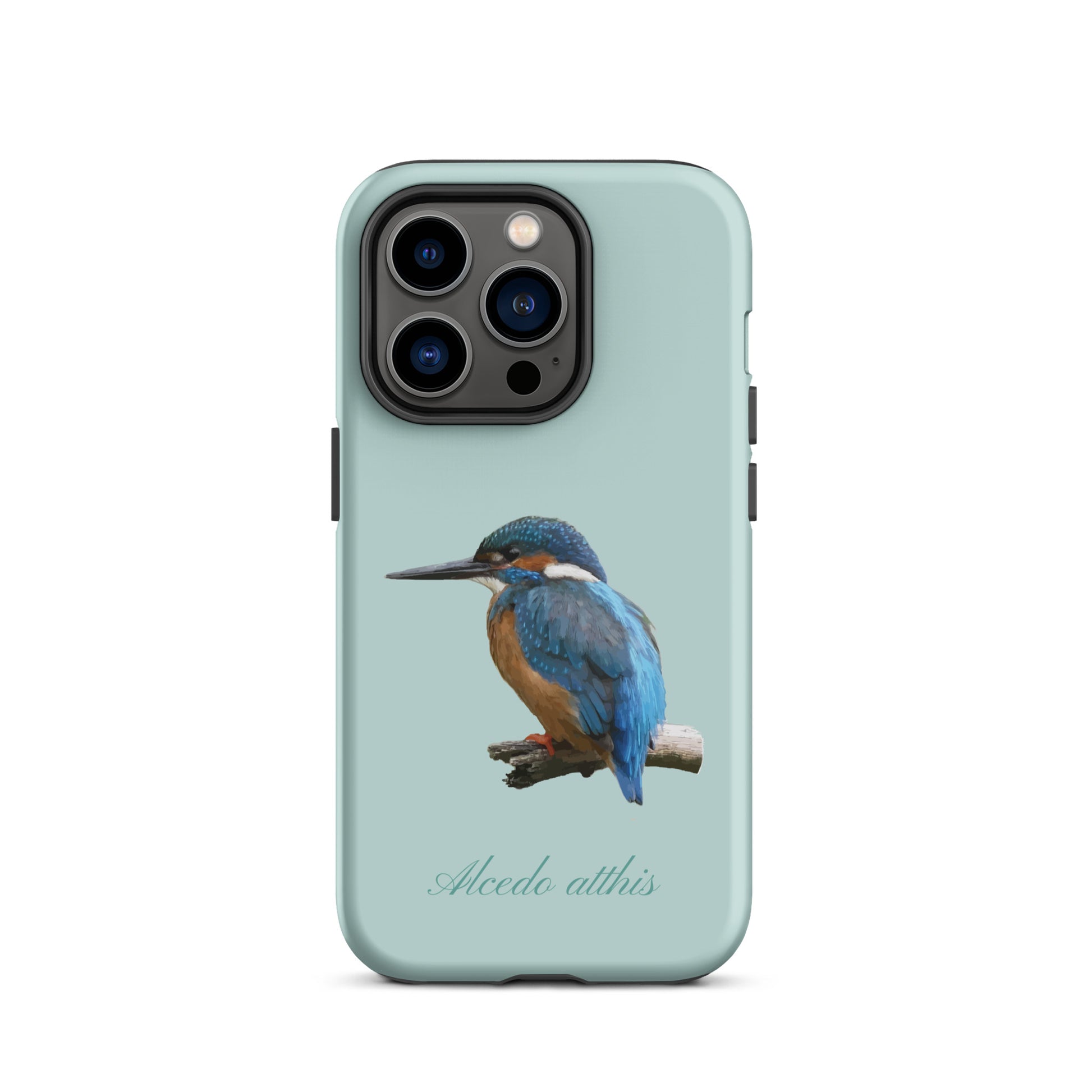 Schutzhülle für Apple iPhone: iPhone Case - Eisvogel - Hellblau 