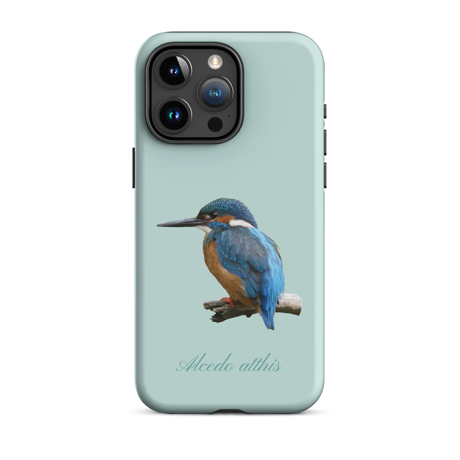 Schutzhülle für Apple iPhone: iPhone Case - Eisvogel - Hellblau 