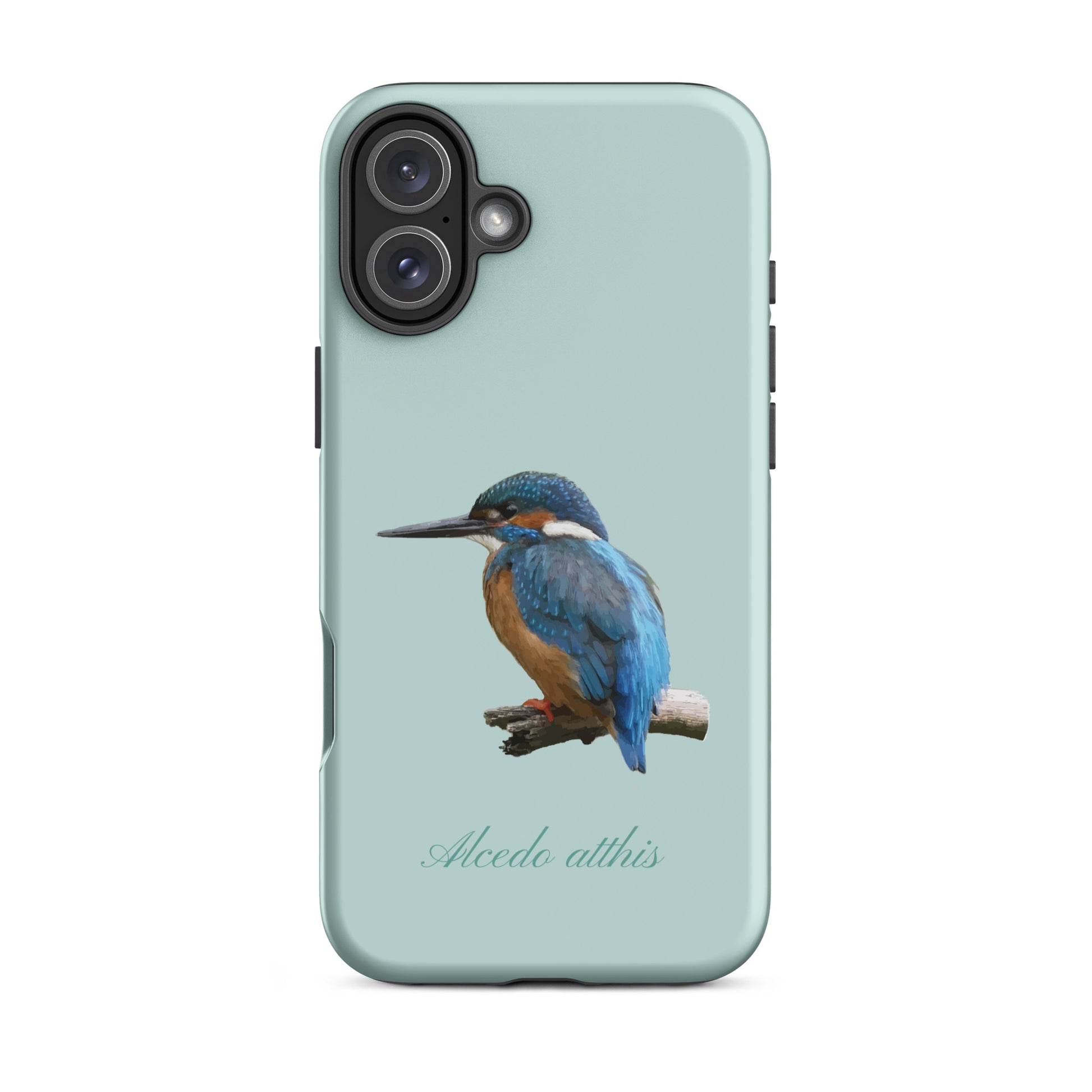Schutzhülle für Apple iPhone: iPhone Case - Eisvogel - Hellblau 