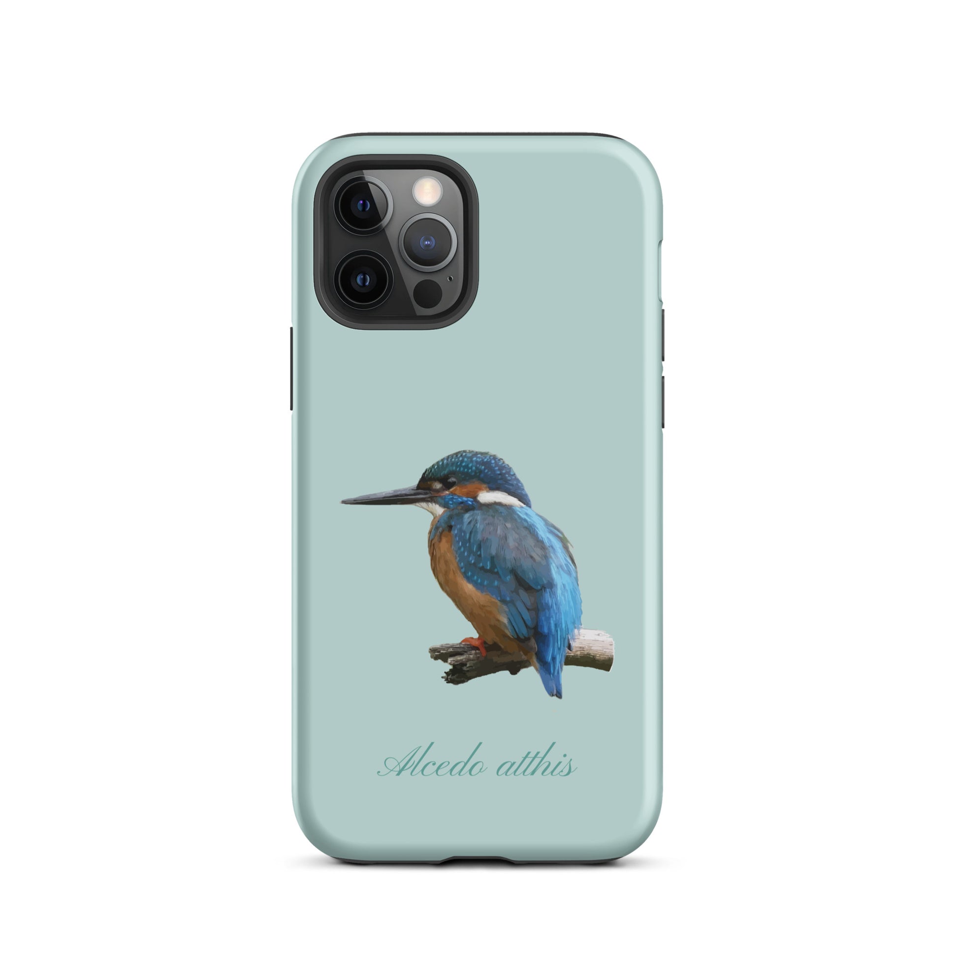 Schutzhülle für Apple iPhone: iPhone Case - Eisvogel - Hellblau 