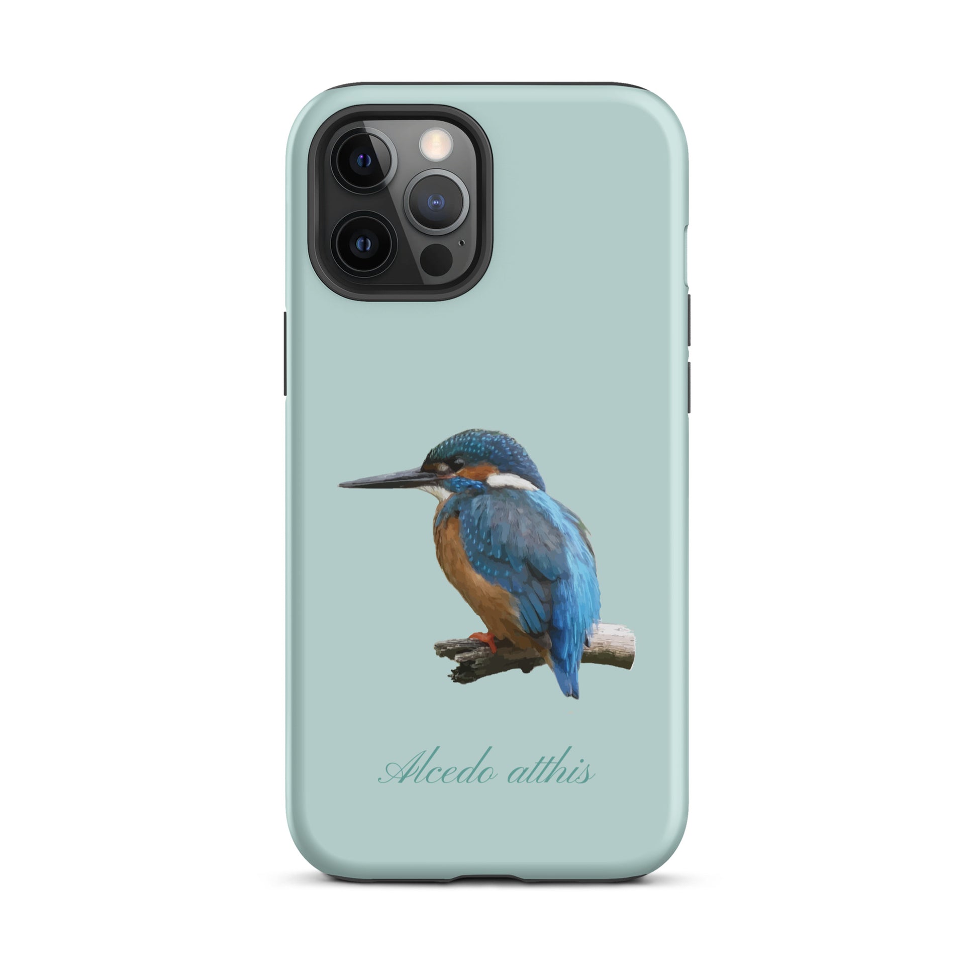 Schutzhülle für Apple iPhone: iPhone Case - Eisvogel - Hellblau 