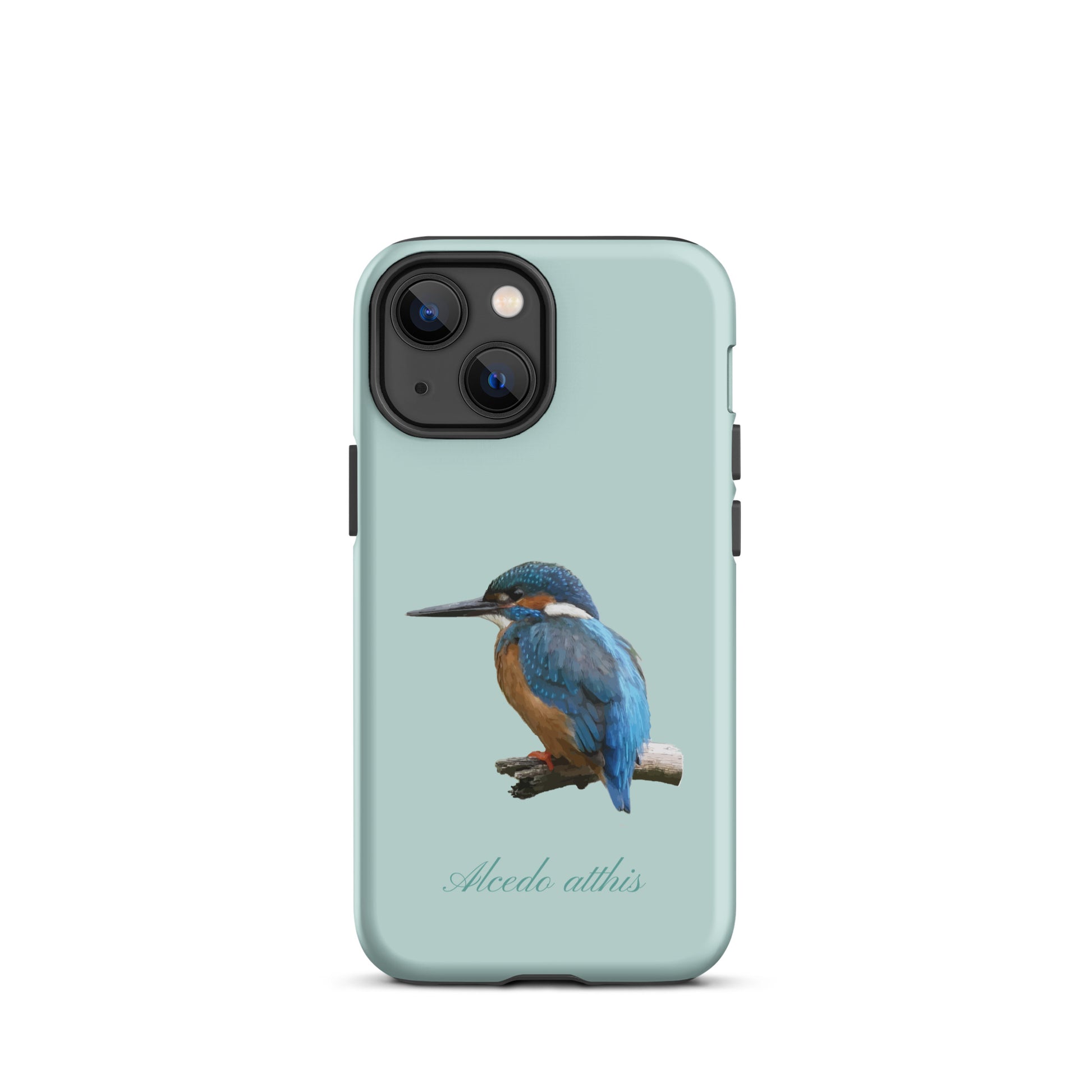 Schutzhülle für Apple iPhone: iPhone Case - Eisvogel - Hellblau 