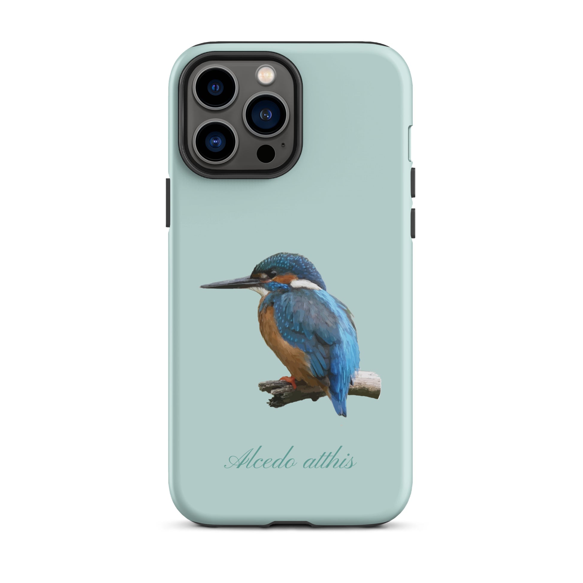 Schutzhülle für Apple iPhone: iPhone Case - Eisvogel - Hellblau 