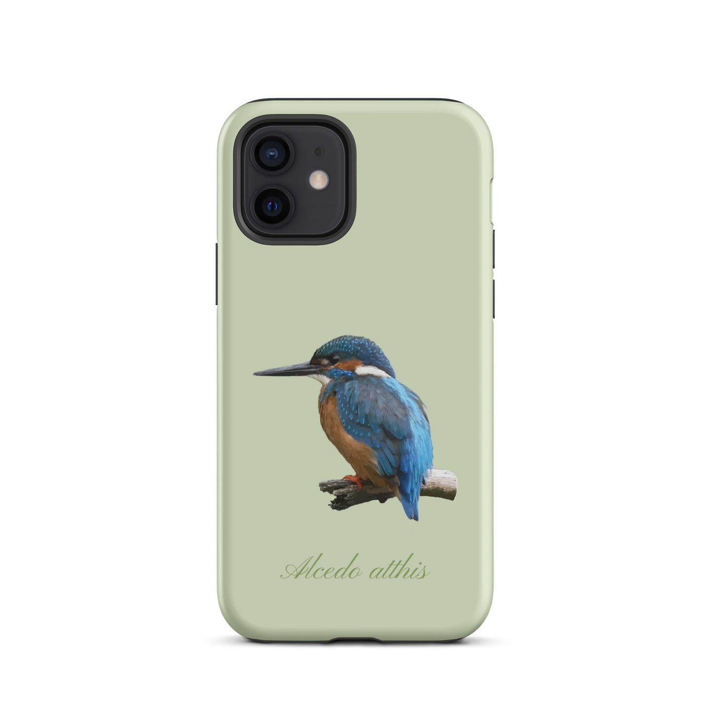 Schutzhülle für Apple iPhone: iPhone Case - Eisvogel - Hellgrün 