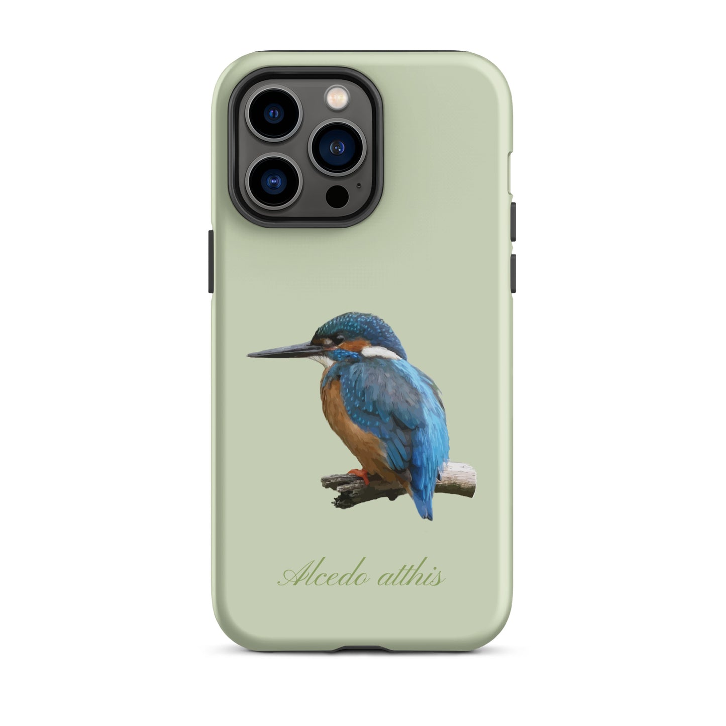 Schutzhülle für Apple iPhone: iPhone Case - Eisvogel - Hellgrün 