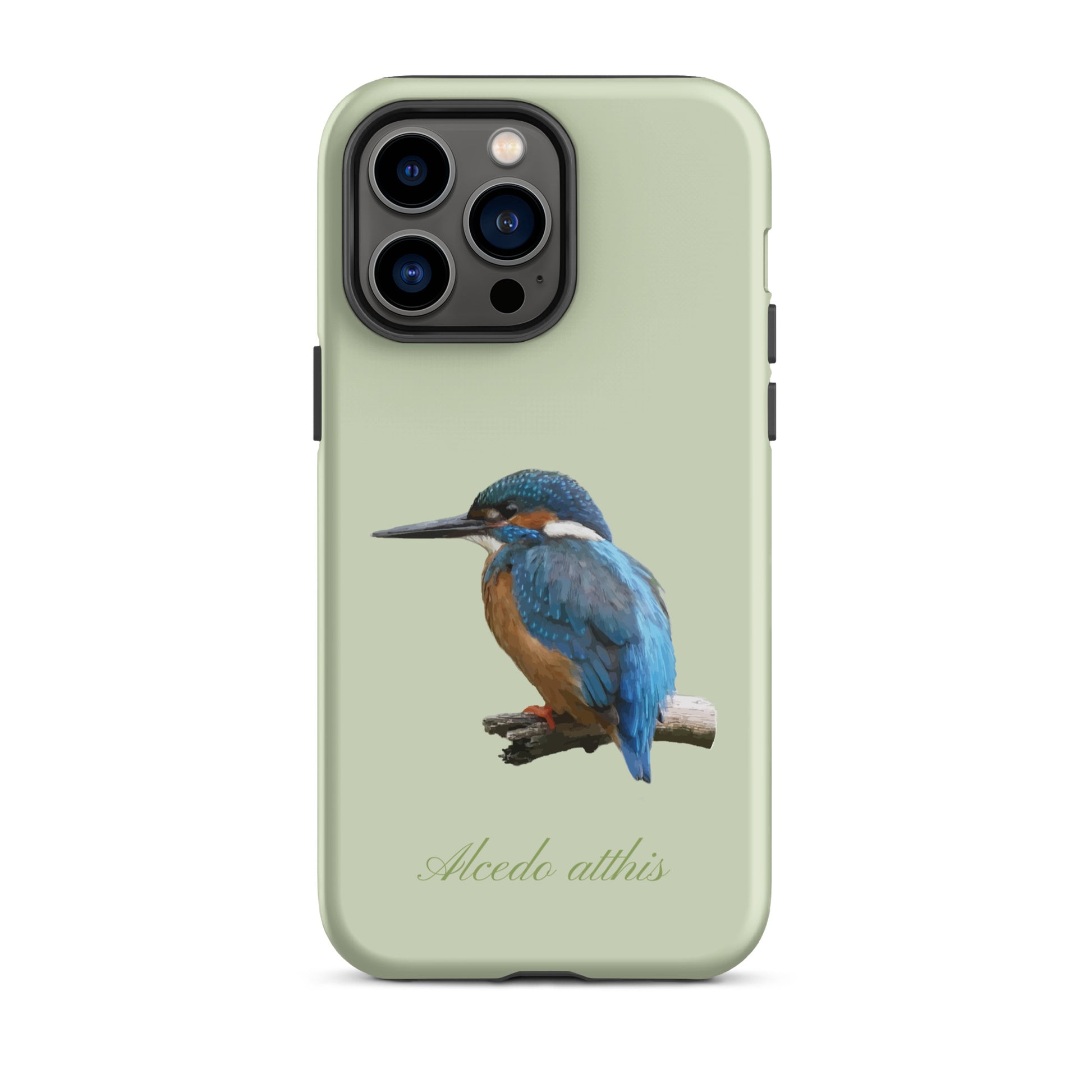 Schutzhülle für Apple iPhone: iPhone Case - Eisvogel - Hellgrün 