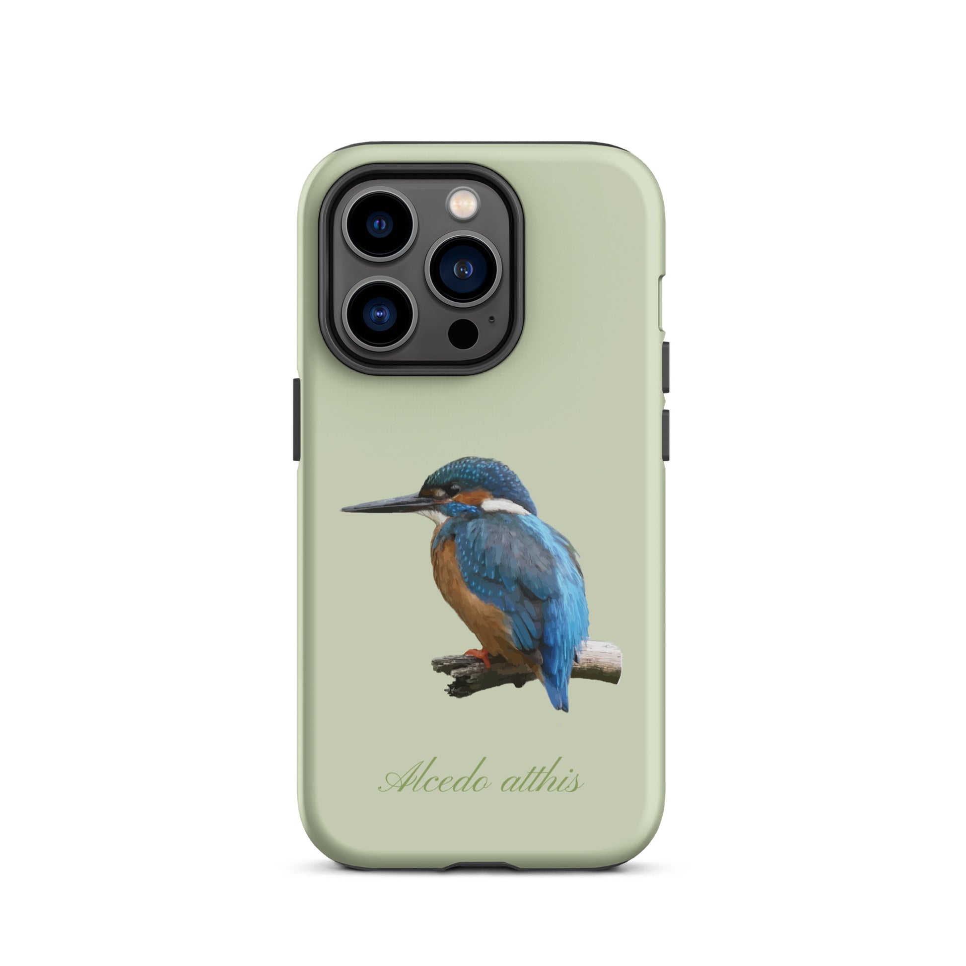 Schutzhülle für Apple iPhone: iPhone Case - Eisvogel - Hellgrün 