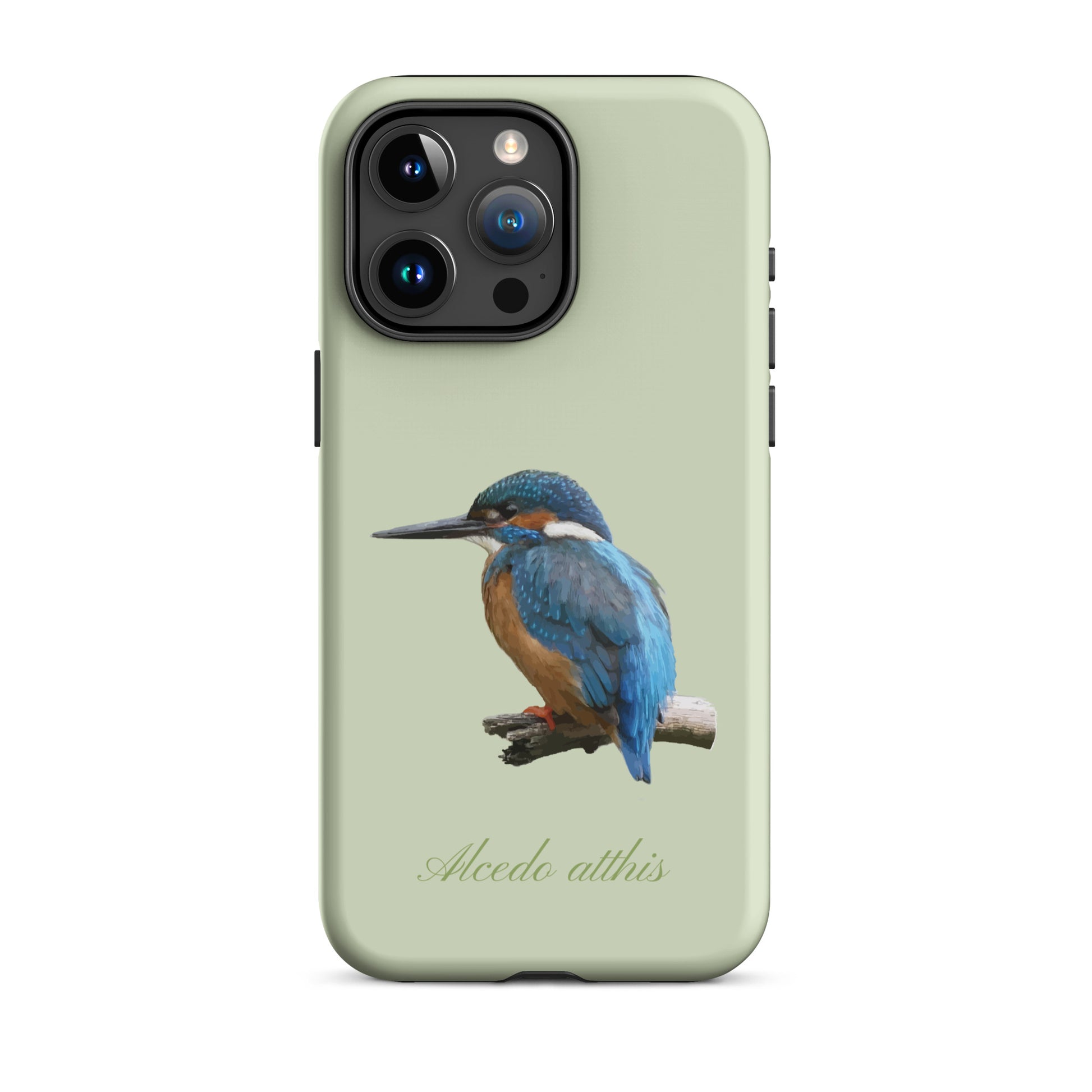 Schutzhülle für Apple iPhone: iPhone Case - Eisvogel - Hellgrün 
