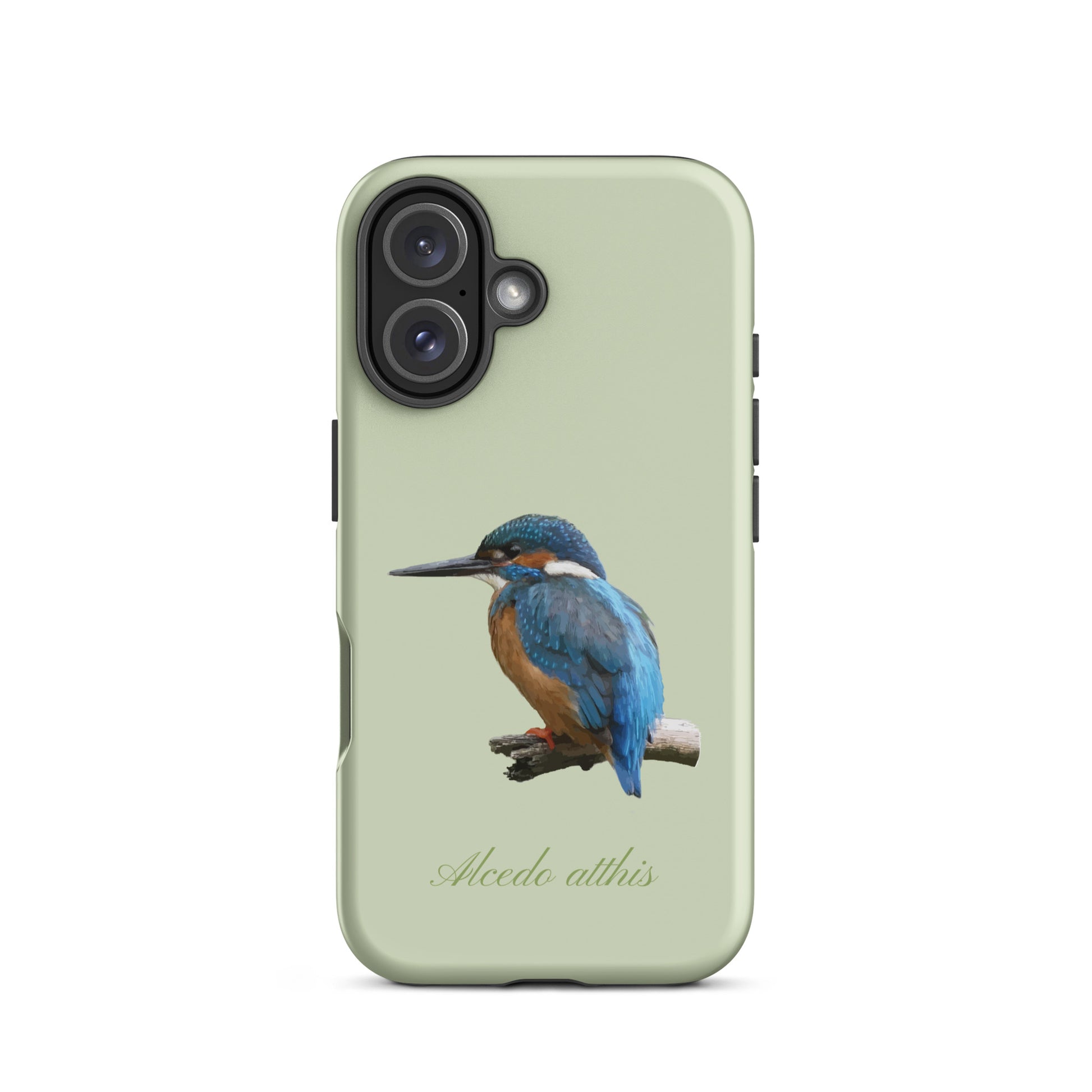 Schutzhülle für Apple iPhone: iPhone Case - Eisvogel - Hellgrün 