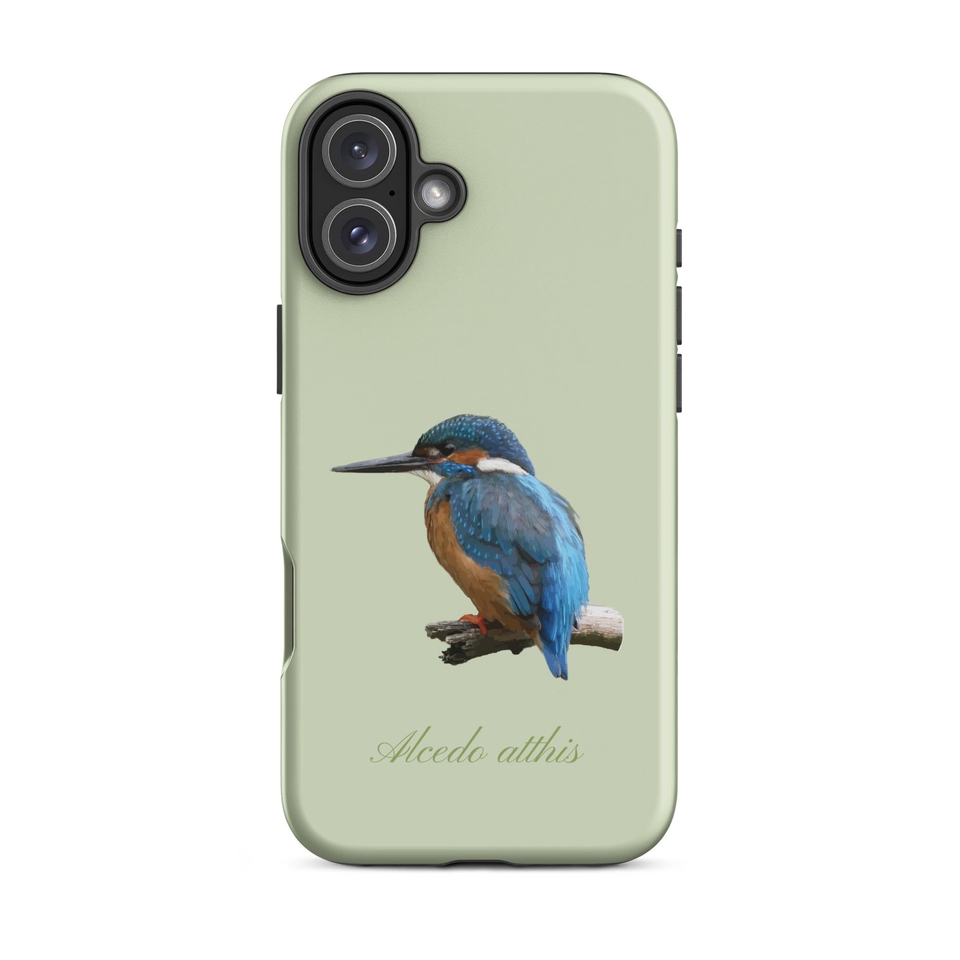Schutzhülle für Apple iPhone: iPhone Case - Eisvogel - Hellgrün 