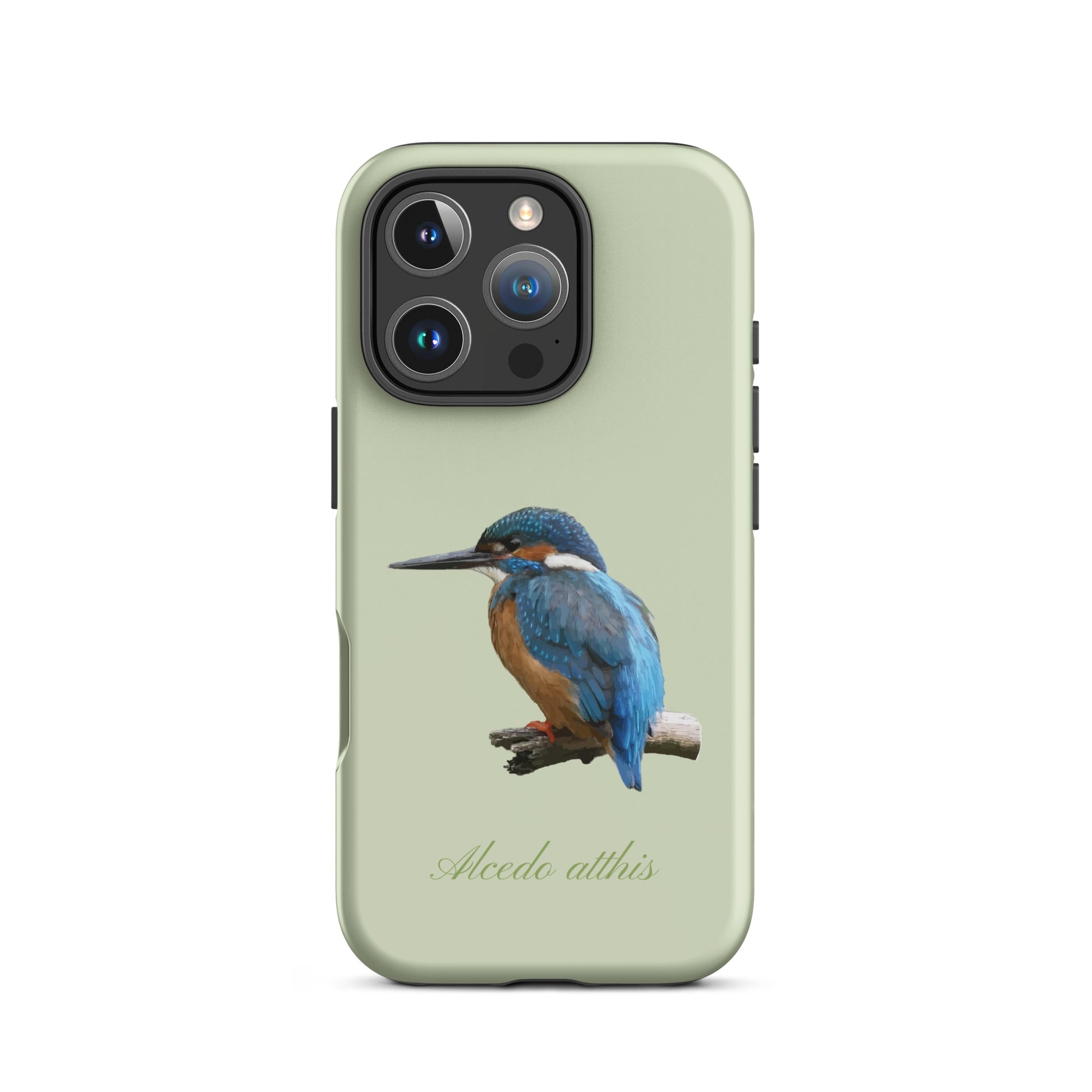 Schutzhülle für Apple iPhone: iPhone Case - Eisvogel - Hellgrün 