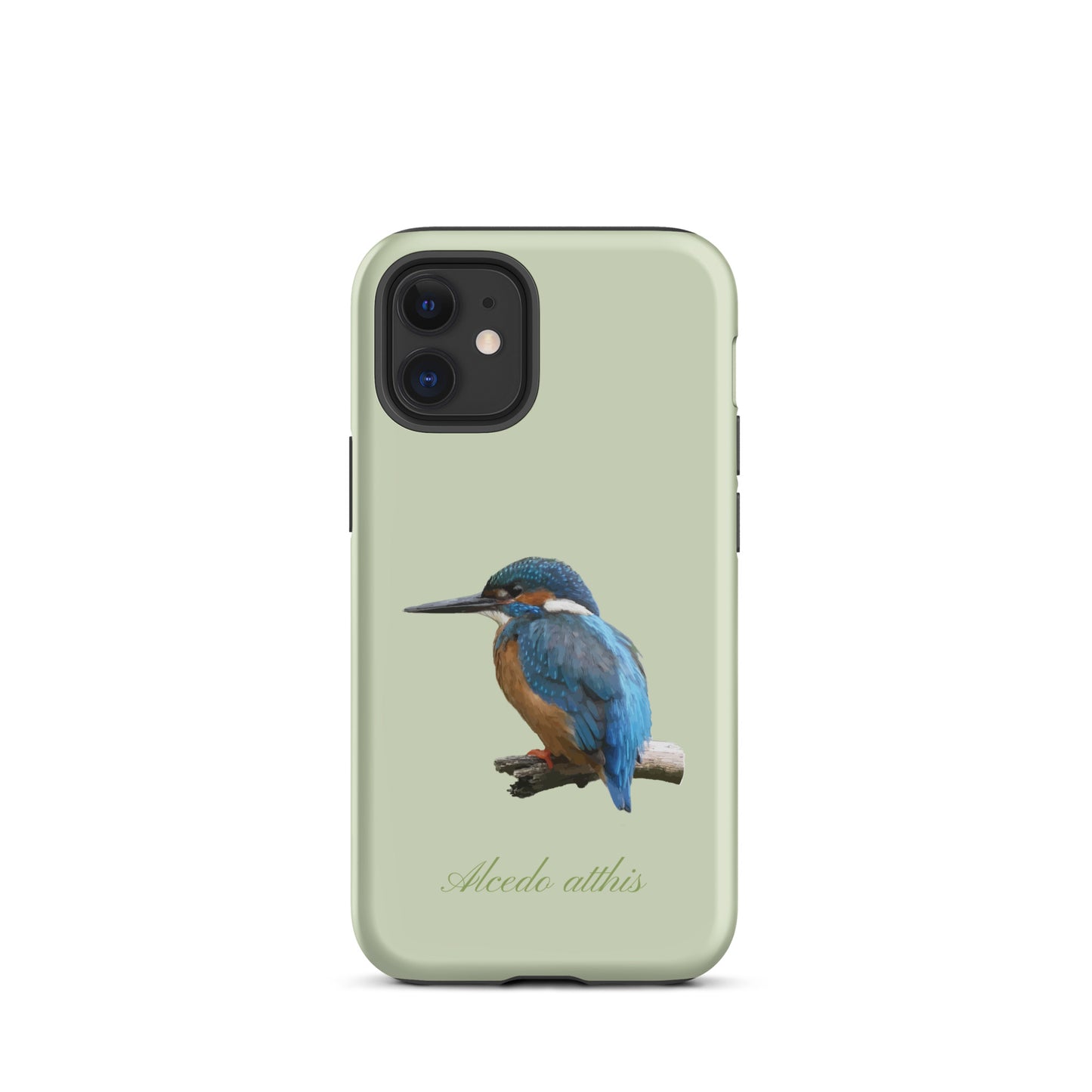 Schutzhülle für Apple iPhone: iPhone Case - Eisvogel - Hellgrün 