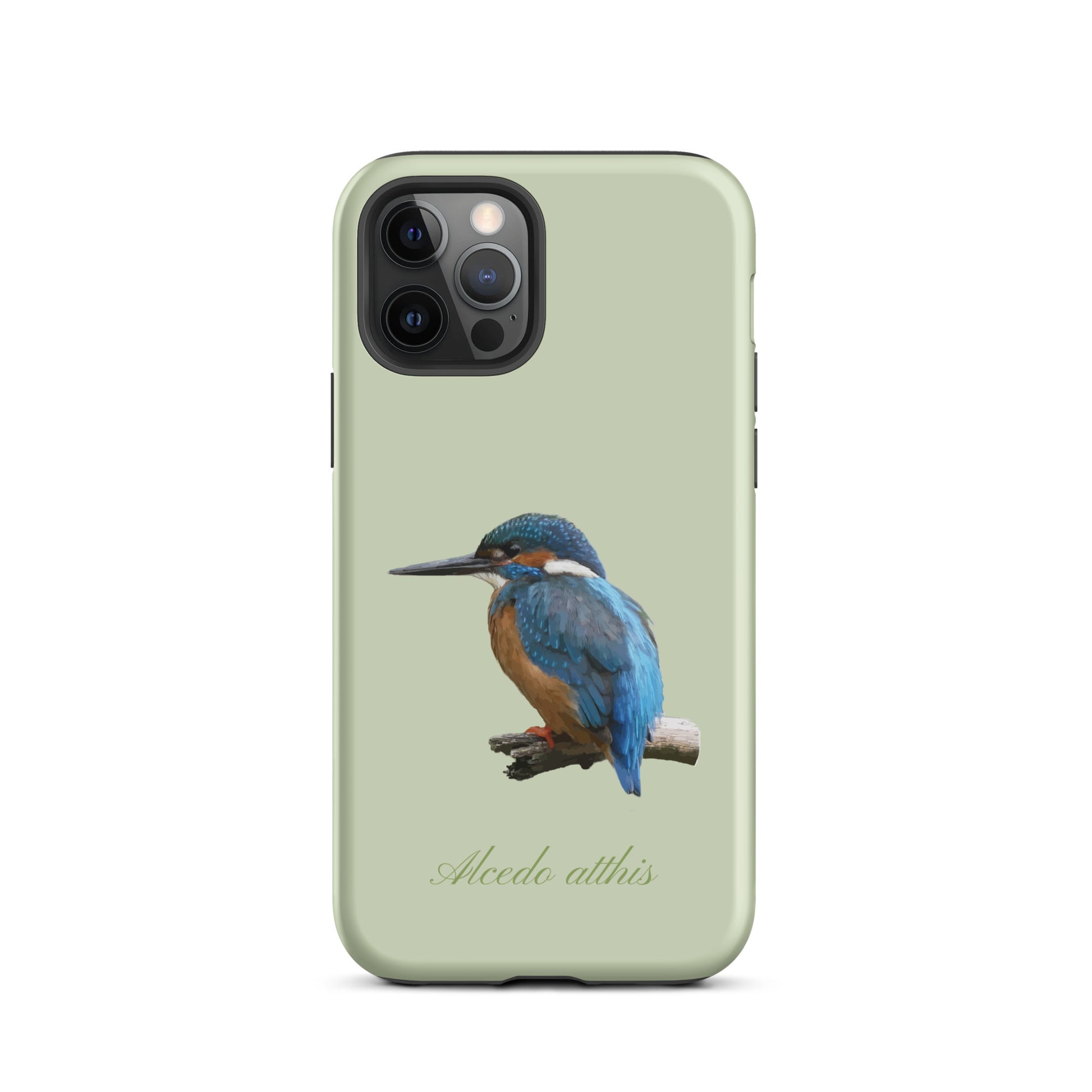 Schutzhülle für Apple iPhone: iPhone Case - Eisvogel - Hellgrün 