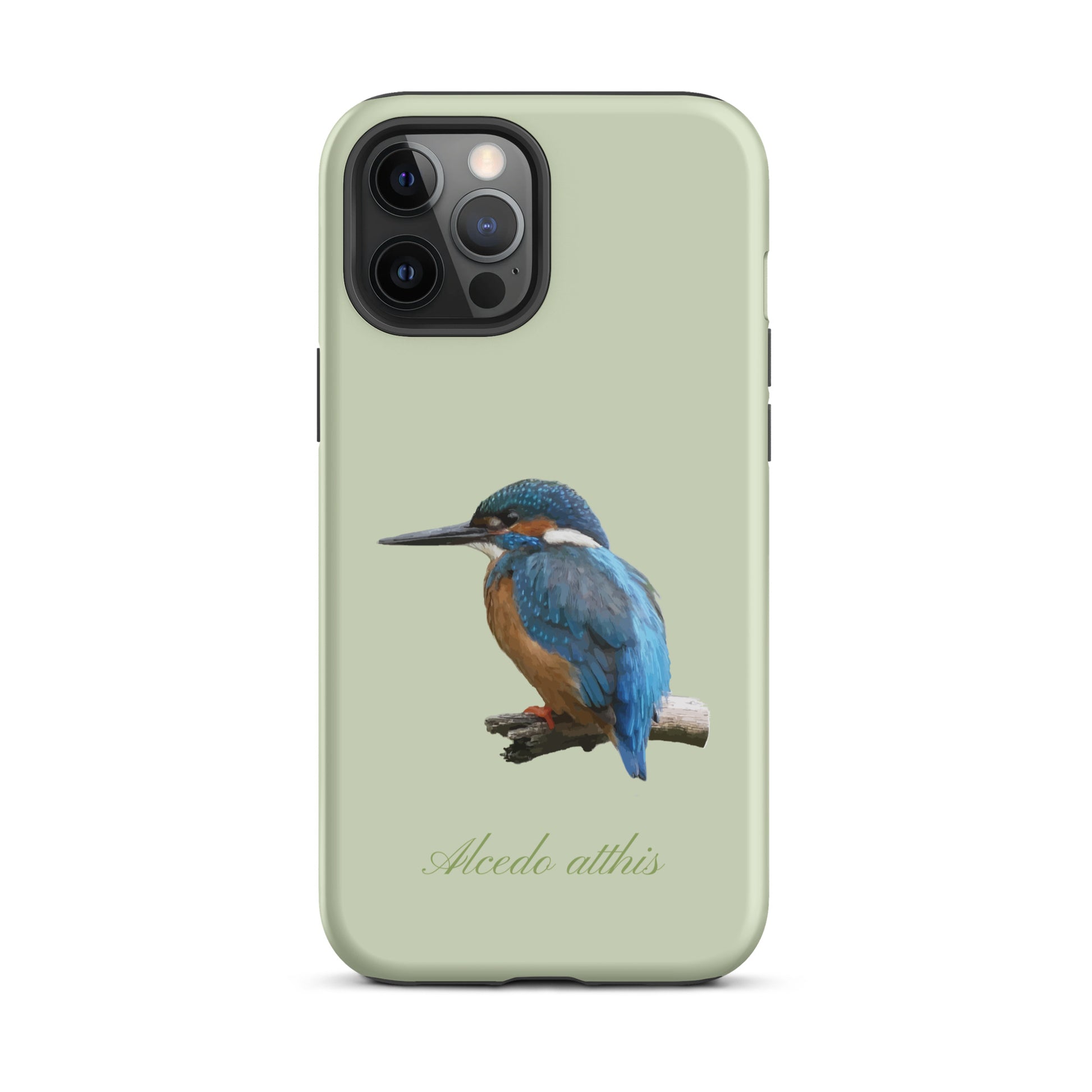 Schutzhülle für Apple iPhone: iPhone Case - Eisvogel - Hellgrün 