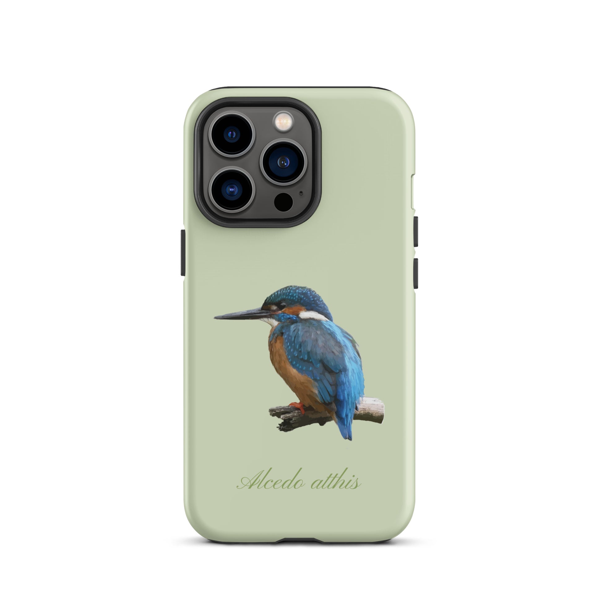 Schutzhülle für Apple iPhone: iPhone Case - Eisvogel - Hellgrün 