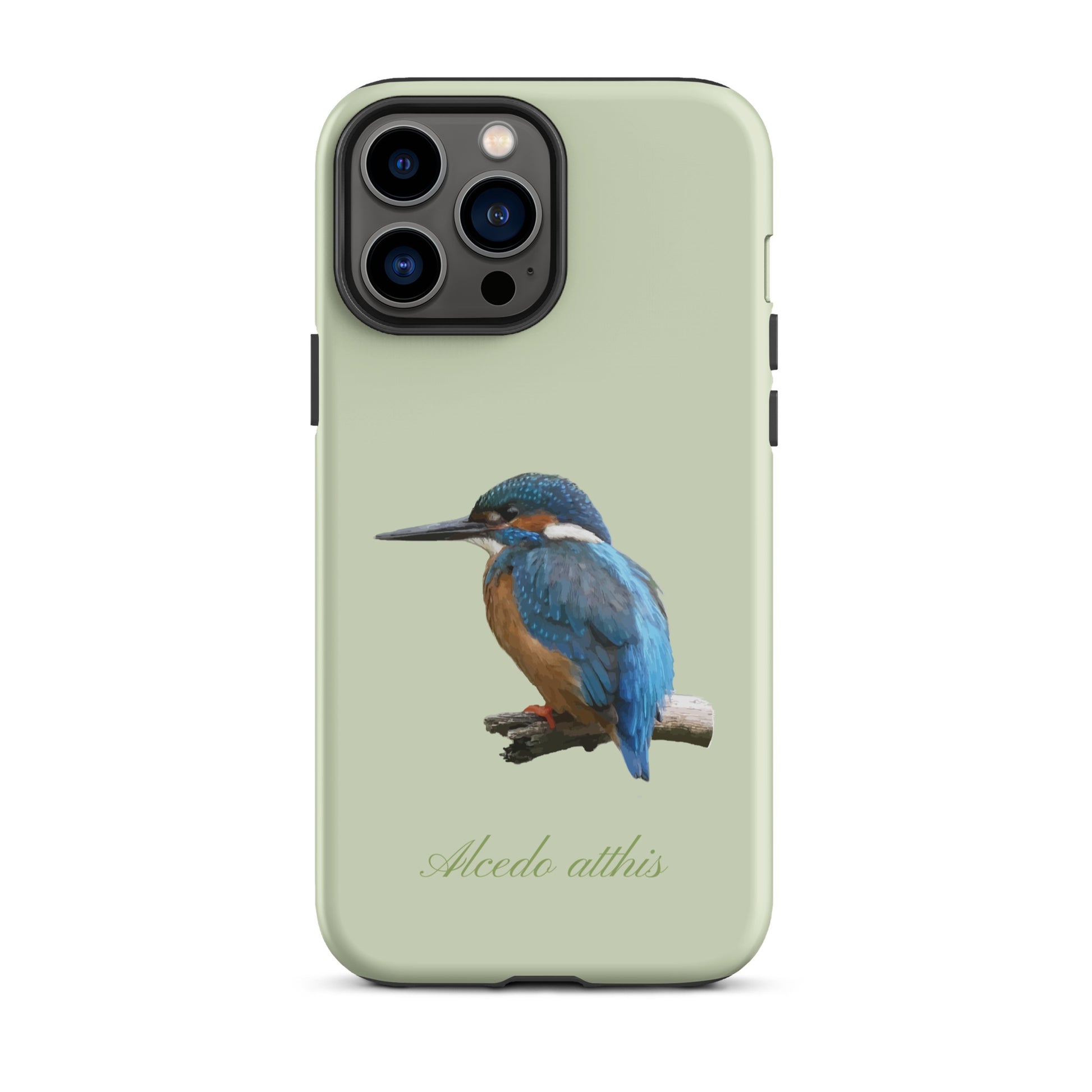 Schutzhülle für Apple iPhone: iPhone Case - Eisvogel - Hellgrün 