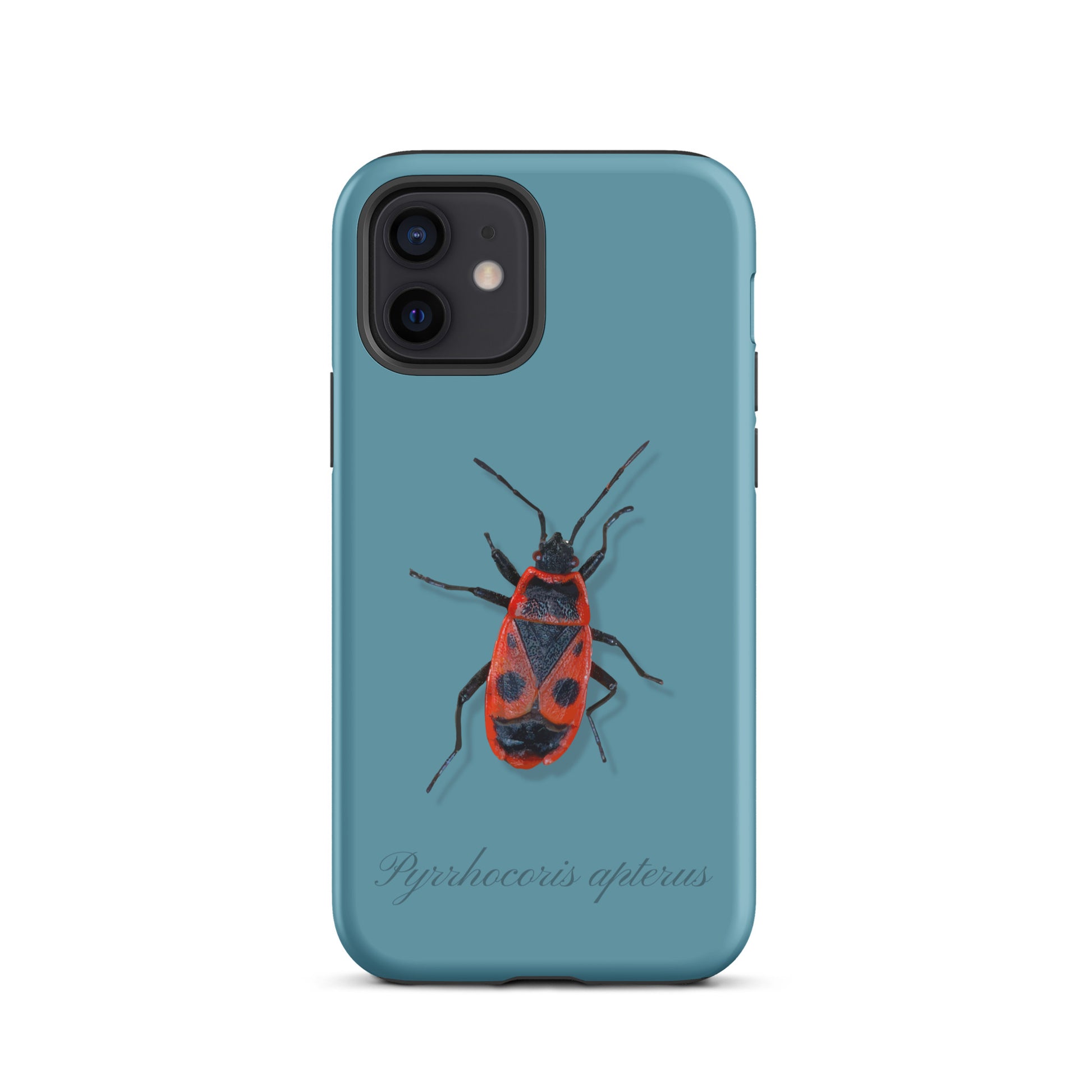 Schutzhülle für Apple iPhone: iPhone Case - Feuerwanze - Gletscherwasserblau 