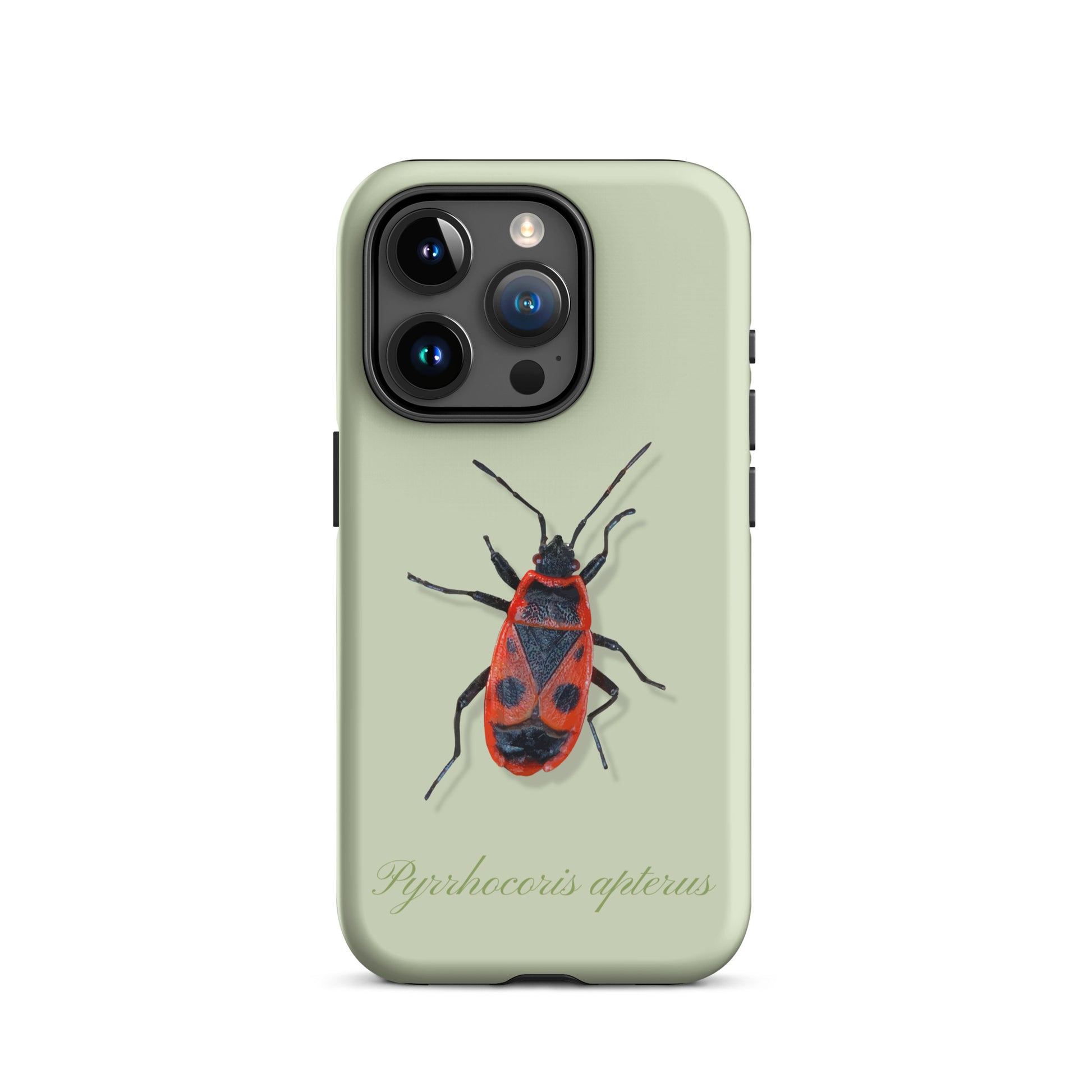 Schutzhülle für Apple iPhone: iPhone Case - Feuerwanze - Hellgrün 
