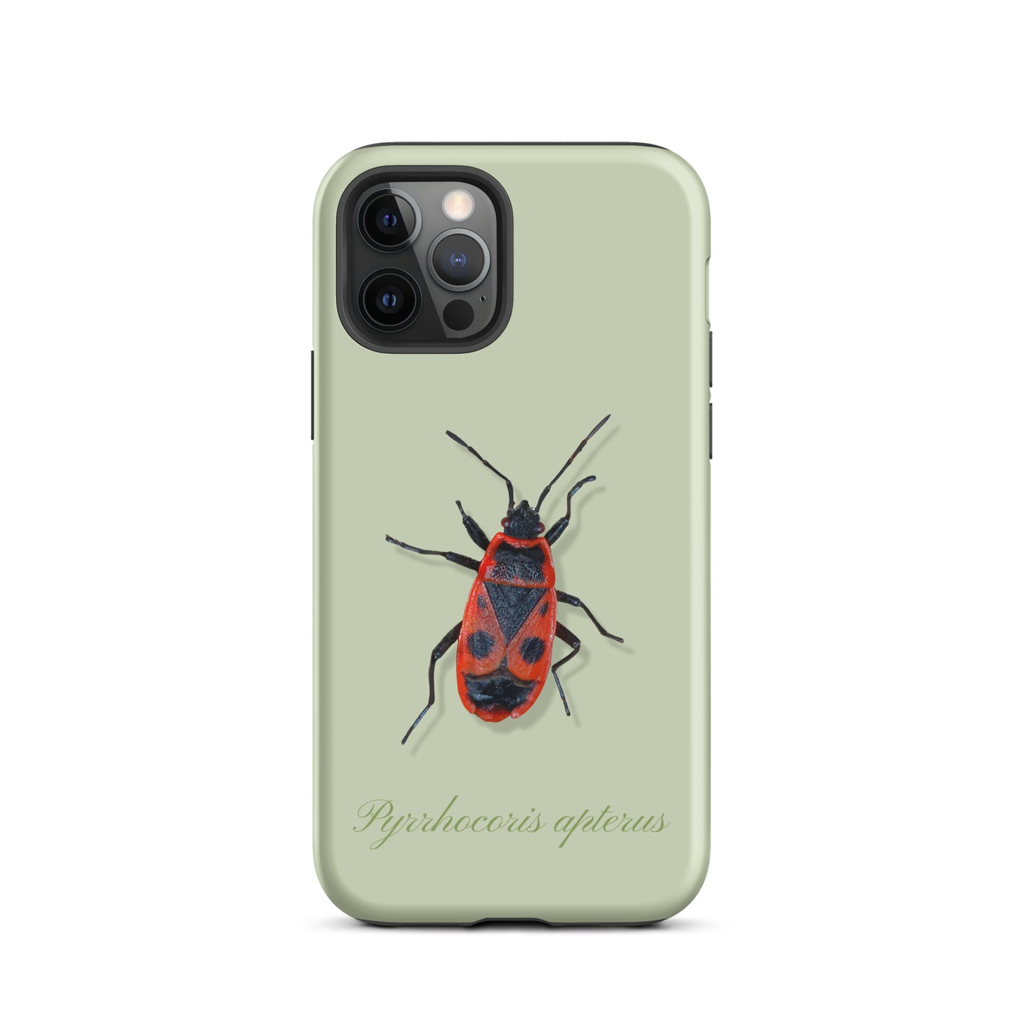 Hellgrüne iPhone Schutzhülle mit Feuerwanzen-Design, präzise Aussparungen, schockabsorbierend.