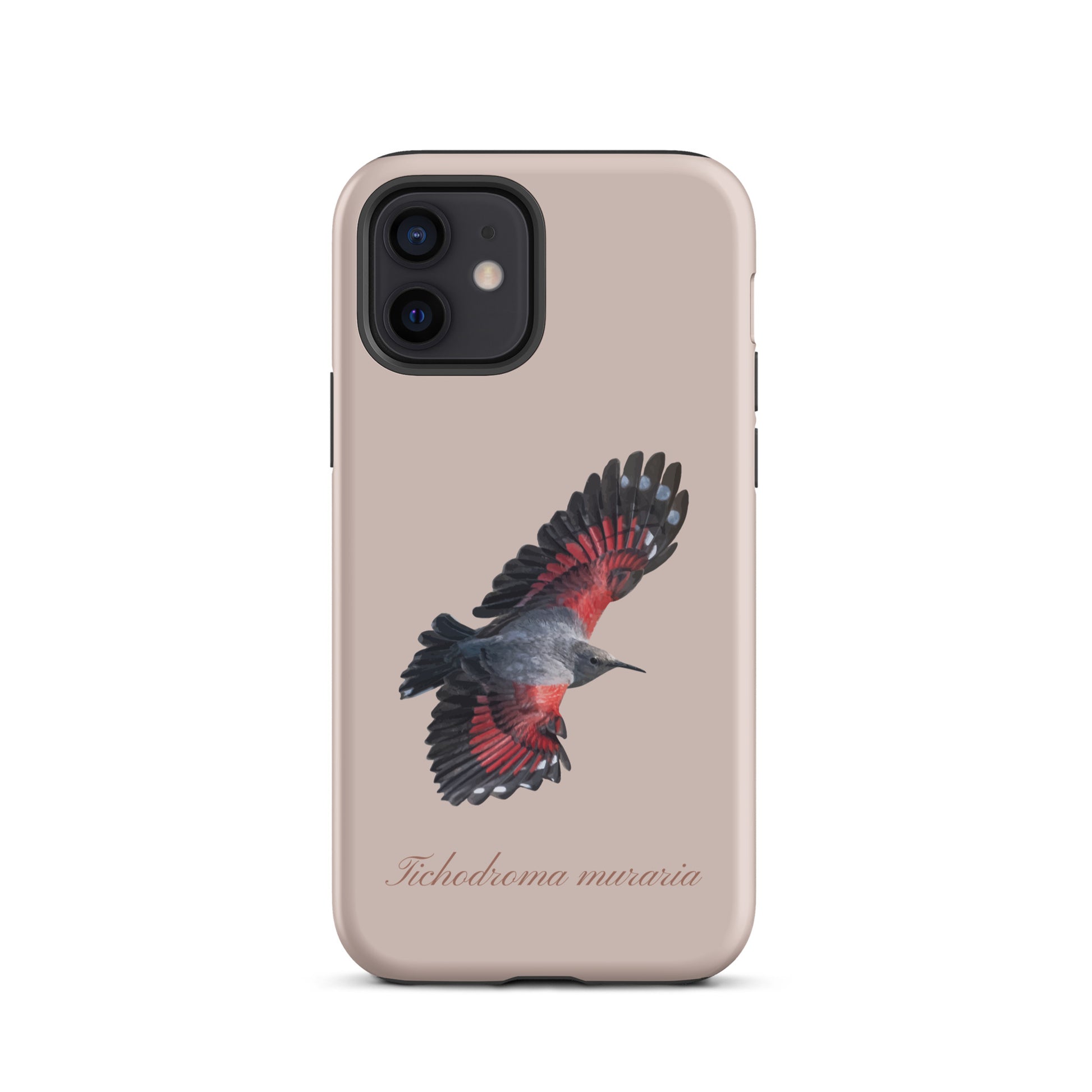 Rosa iPhone Hülle mit Mauerläufer Design, stoßfest und schlank, passend für iPhone Modelle