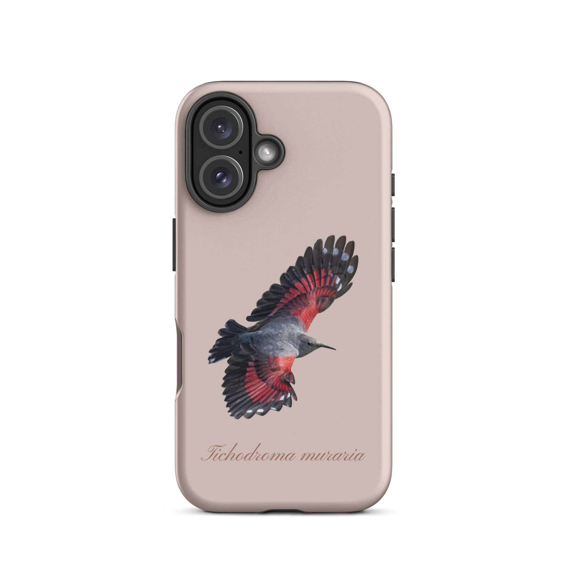 Rosa iPhone-Hülle mit Mauerläufer-Design, schützende Silikonhülle für Apple iPhone.