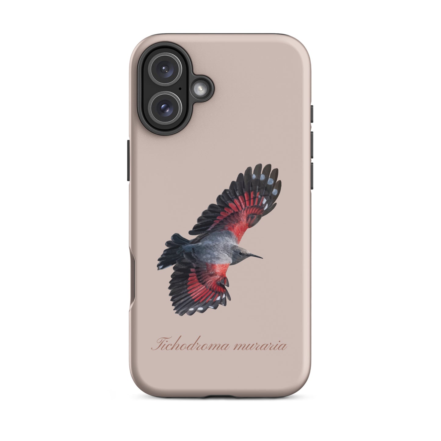 Rosa iPhone Hülle mit Mauerläufer-Design, Schutzhülle aus Silikon für Apple iPhone, detailreiche Ansicht.