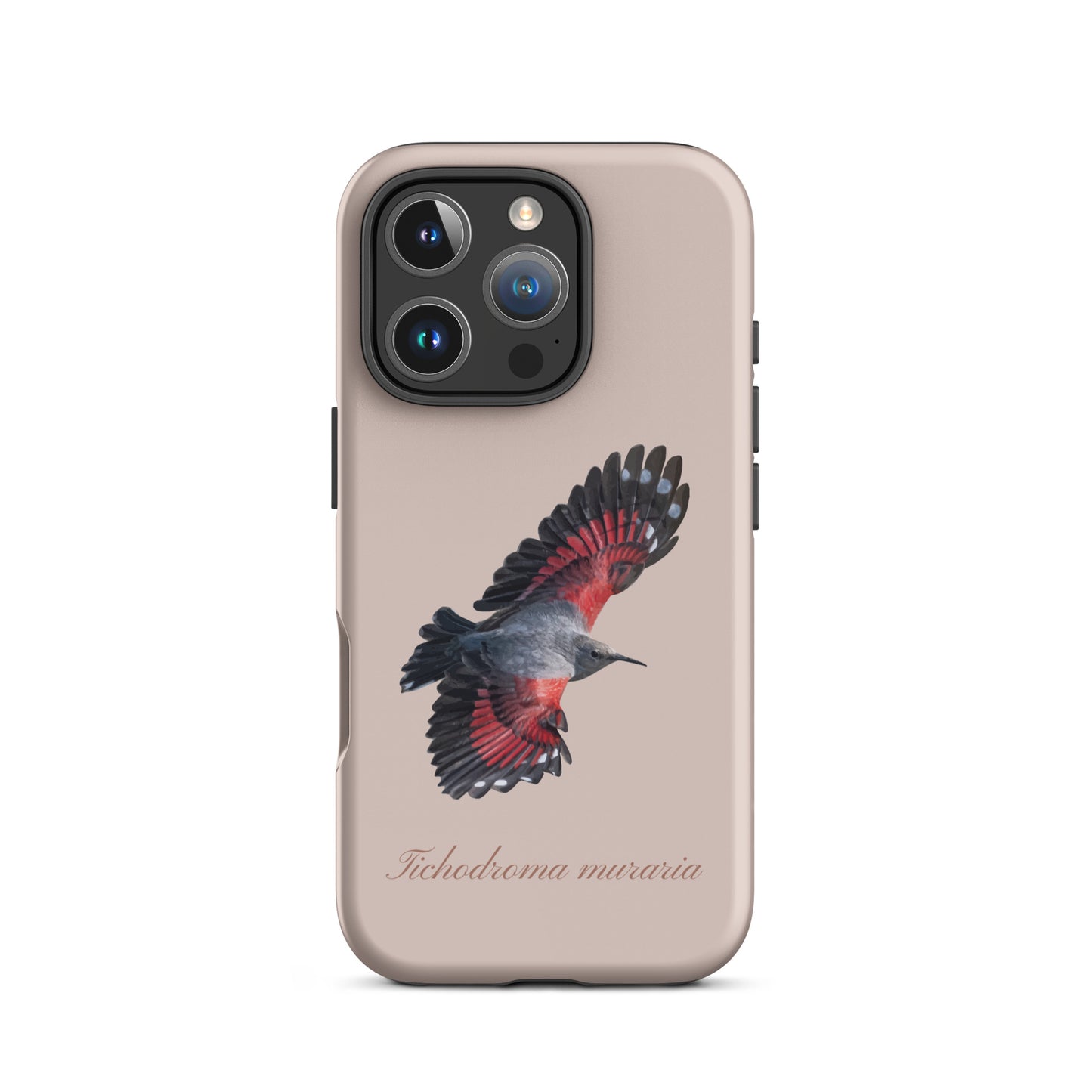 Rosa iPhone Hülle mit Mauerläufer-Design, schützende Handyhülle aus robustem Material für Apple iPhone.