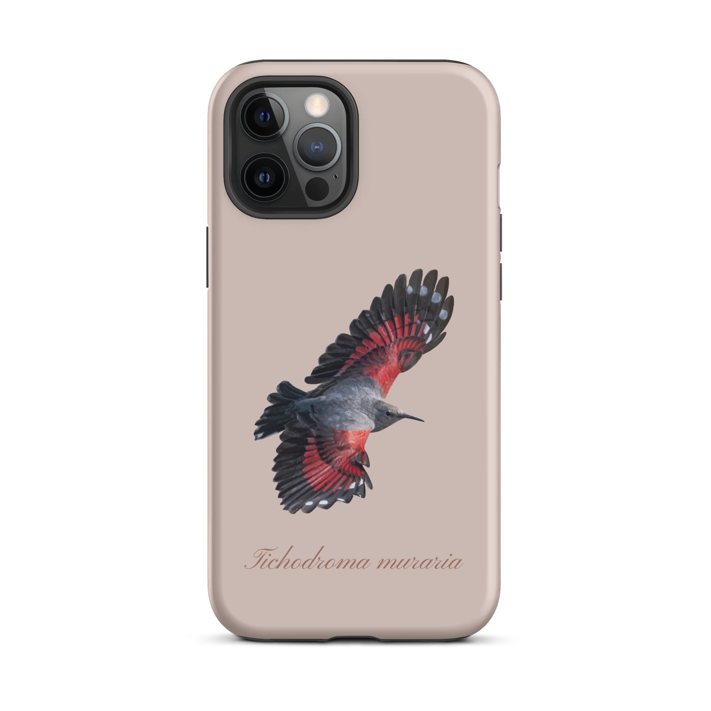 Rosa iPhone-Hülle mit Mauerläufer-Motiv, stoßfestes Silikon, präzise Aussparungen