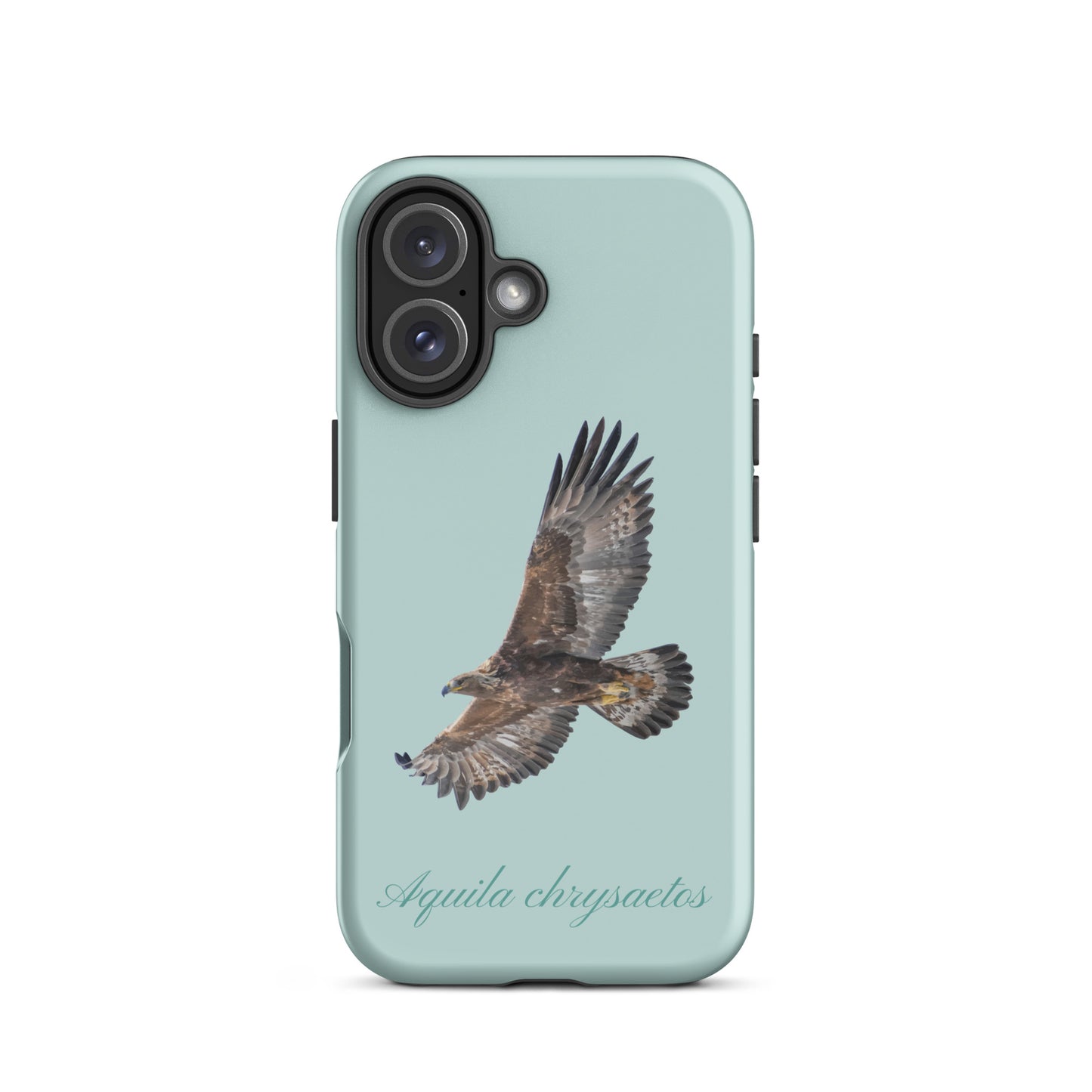 Schutzhülle für Apple iPhone: iPhone Case - Steinadler - Hellblau 