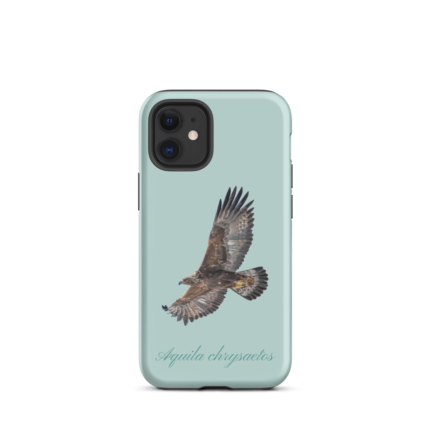 iPhone Hülle mit Steinadler-Motiv in Hellblau, schützende Silikonhülle für Apple iPhone