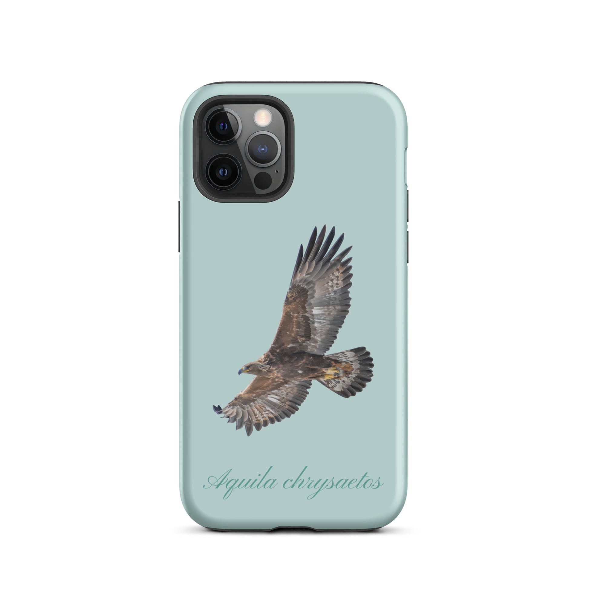 iPhone Case mit Steinadler-Motiv in Hellblau, Schutzhülle aus robustem Material.