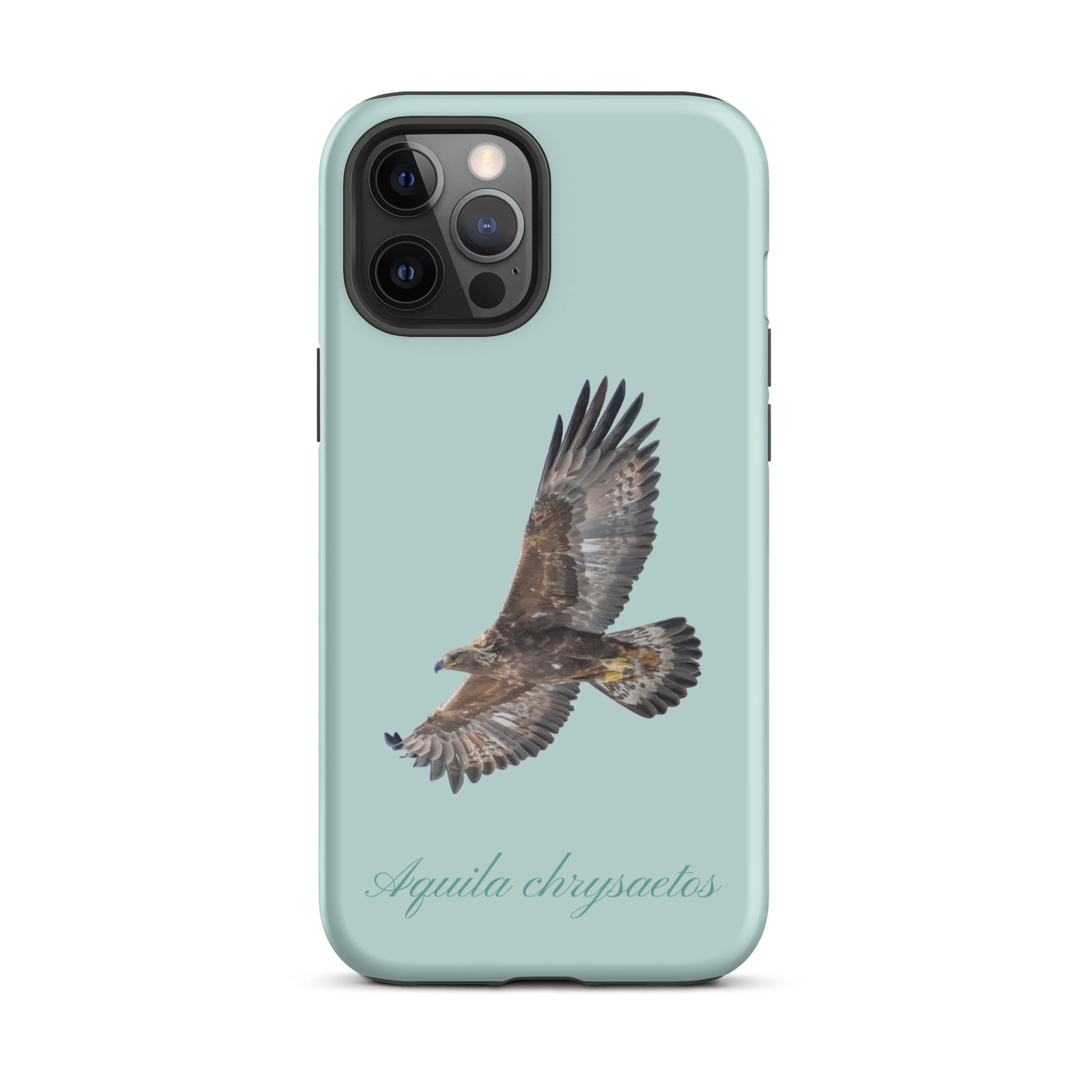 Hellblaue iPhone-Hülle mit Steinadler-Design, Schutzhülle für Apple iPhone
